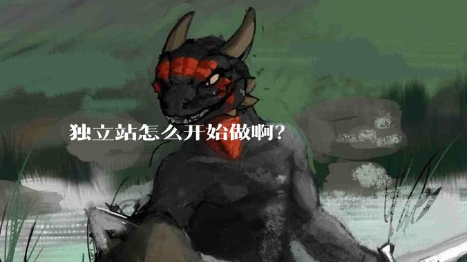 独立站怎么开始做啊？